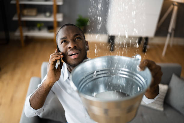 Best Flood restoration services  in Chipley, FL