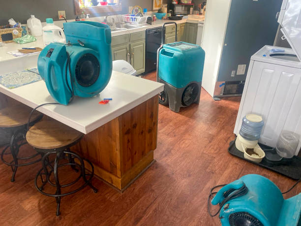 Best Emergency water damage restoration  in Chipley, FL