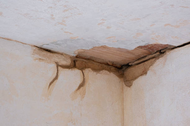 Best 24/7 water damage repair  in Chipley, FL