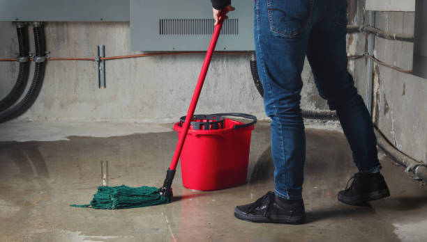 Best Commercial water damage restoration  in Chipley, FL