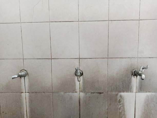 Best Emergency water damage restoration  in Chipley, FL