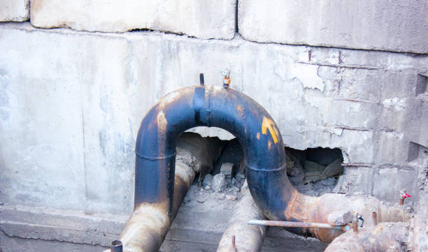 Best Mold removal after water damage  in Chipley, FL