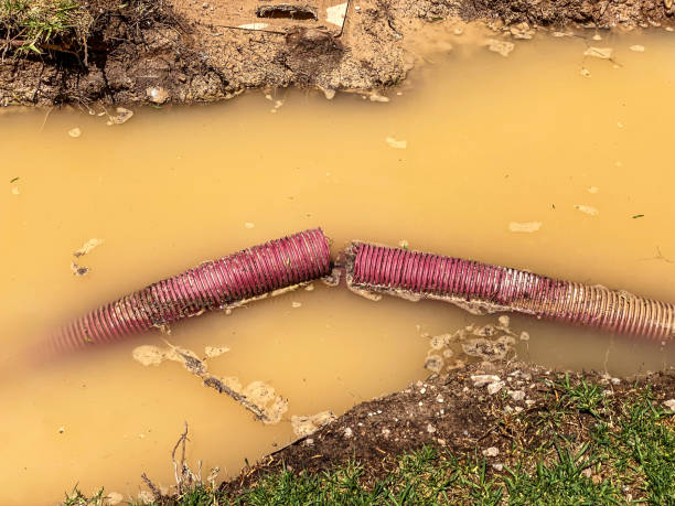 Best 24/7 water damage repair  in Chipley, FL