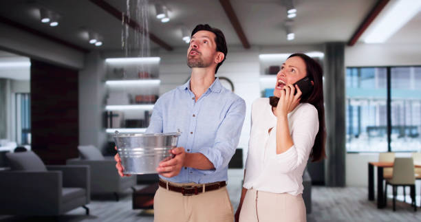 Best Professional water damage repair  in Chipley, FL