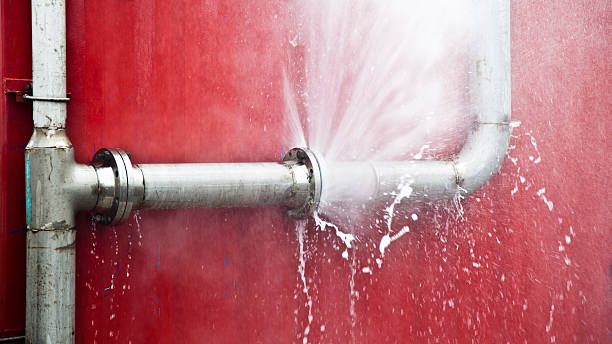 Best Water damage mitigation services  in Chipley, FL