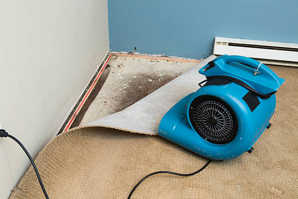 Best Fire Damage Restoration  in Chipley, FL